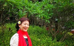 一品鲍破解版v1.0.6